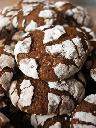 chocolate cookies